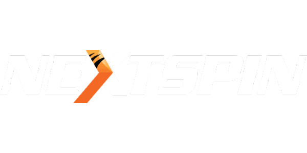 NS-কালার logo